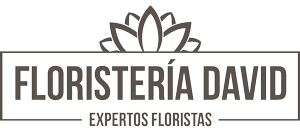 Logo floristeria Sevilla