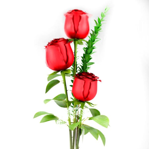 Amor_infinito_3_rosas_rojas